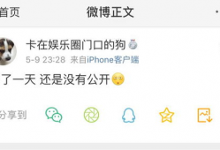 网爆吃瓜爆料视频下载,真相与谣言的交织